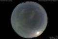 2012/6/12 04:31’38”