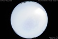 2012/7/1 13:33’40”