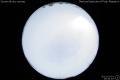 2012/7/1 13:34’10”
