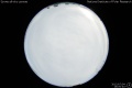 2012/7/4 16:00’40”