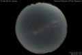 2012/7/6 16:49’10”