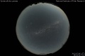 2012/7/6 16:50’40”