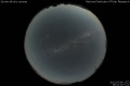 2012/7/6 16:51’10”