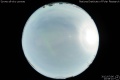 2012/7/6 20:58’10”