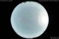 2012/7/6 21:21’40”