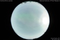 2012/7/6 21:31’40”