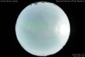 2012/7/6 21:32’10”