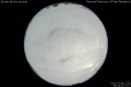 2012/7/8 00:45’10”