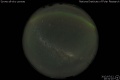 2012/7/12 20:31’10”
