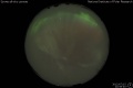 2012/7/15 22:59’40”