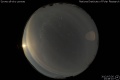2012/7/26 23:48’10”