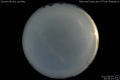 2012/8/5 20:29’10”