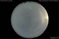 2012/8/5 20:43’10”