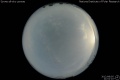 2012/8/5 21:01’10”