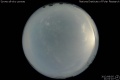 2012/8/5 21:02’10”