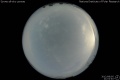 2012/8/5 21:02’40”