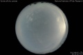 2012/8/5 21:03’10”