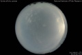 2012/8/5 21:03’40”