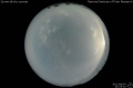 2012/8/5 21:05’10”