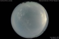 2012/8/5 21:05’40”