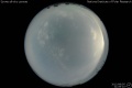2012/8/5 21:06’10”