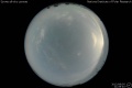 2012/8/5 21:08’40”