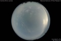 2012/8/5 21:11’40”