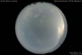 2012/8/5 21:12’10”
