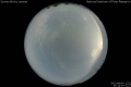 2012/8/5 21:14’10”