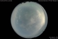2012/8/5 21:21’10”