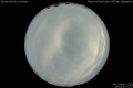2012/8/5 22:01’10”