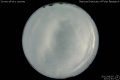2012/8/5 22:01’40”