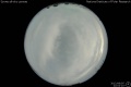 2012/8/5 22:02’10”