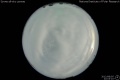 2012/8/5 22:03’10”