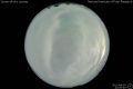 2012/8/5 22:06’40”