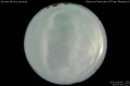 2012/8/5 22:07’10”