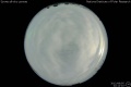 2012/8/5 22:12’10”