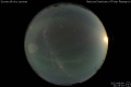 2012/8/6 21:25’10”