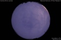 2012/8/10 03:51’10”