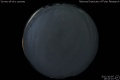 2012/10/5 19:42’10”