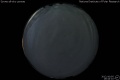 2012/10/5 19:44’10”