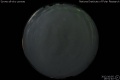 2012/10/5 19:51’40”