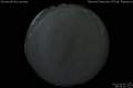 2012/10/5 19:54’10”