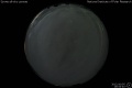 2012/10/5 19:54’40”