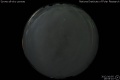 2012/10/5 19:55’10”