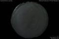 2012/10/5 19:55’40”