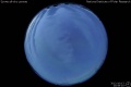 2012/10/13 20:59’10”