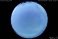 2012/10/13 22:08’40”