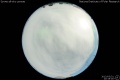 2013/3/31 20:35’00”