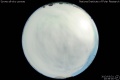 2013/3/31 20:39’00”